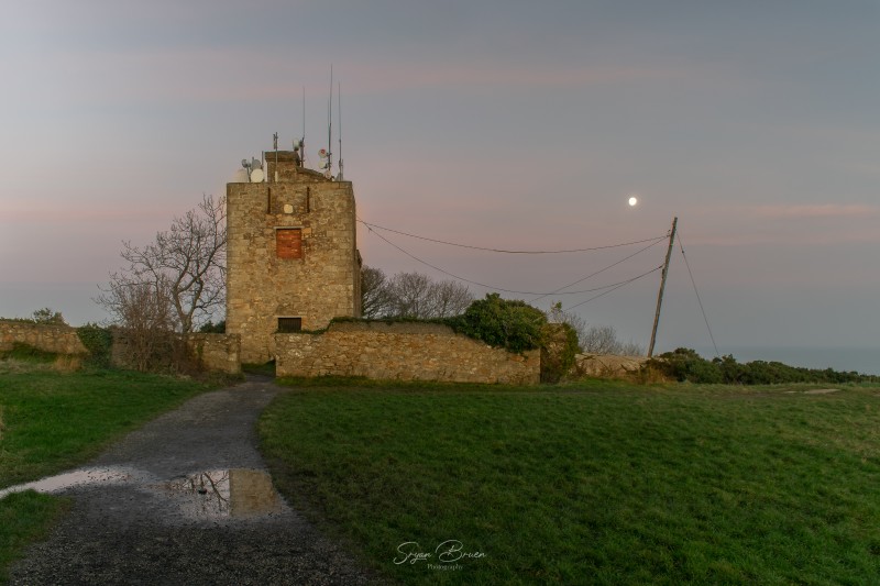 killiney-hill-park-full-moon-9-dec-2019