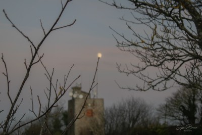 Moon at Killiney (9 Dec 2019)